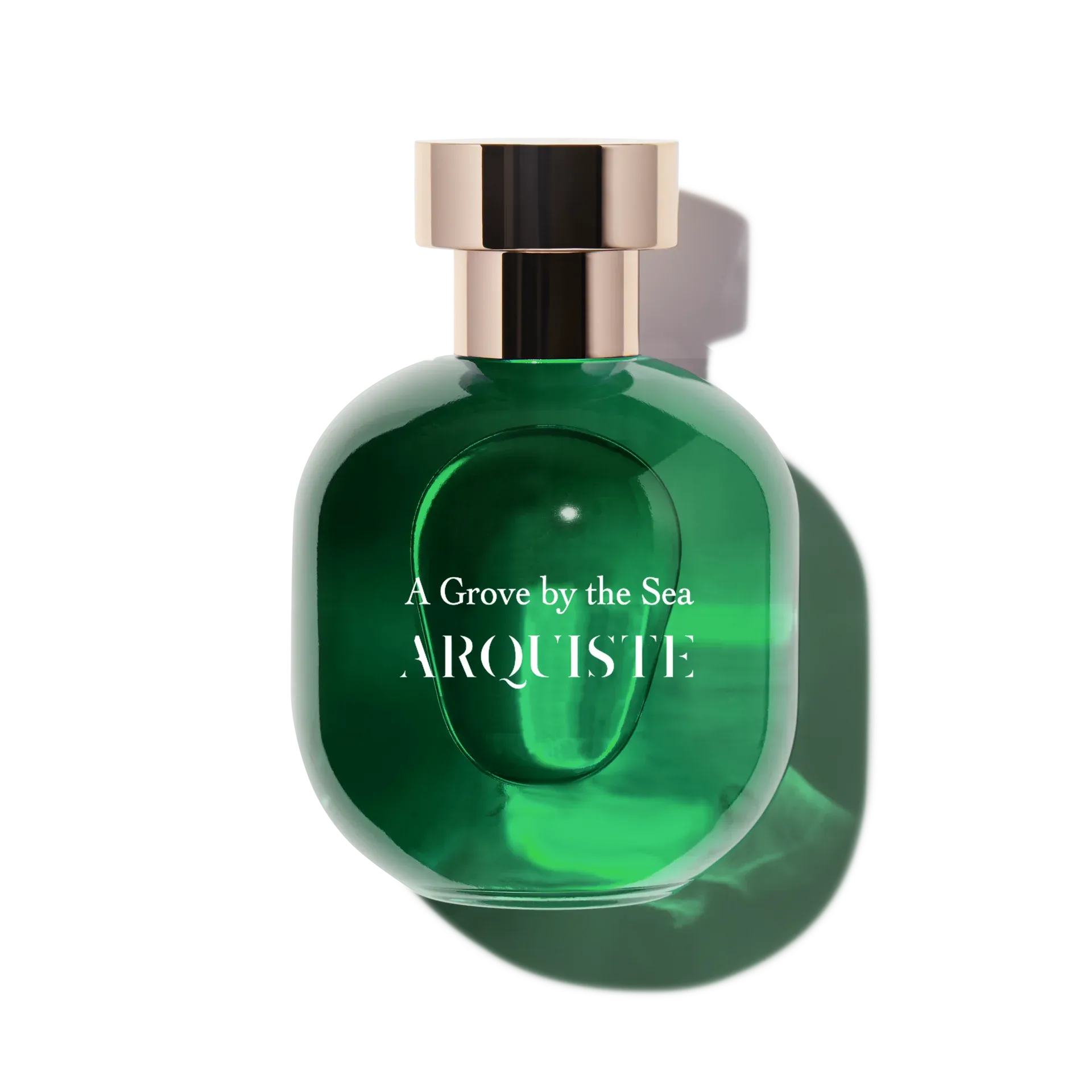 ARQUISTE A Grove By The Sea